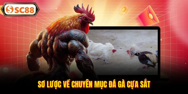 Sơ lược về chuyên mục đá gà cựa sắt