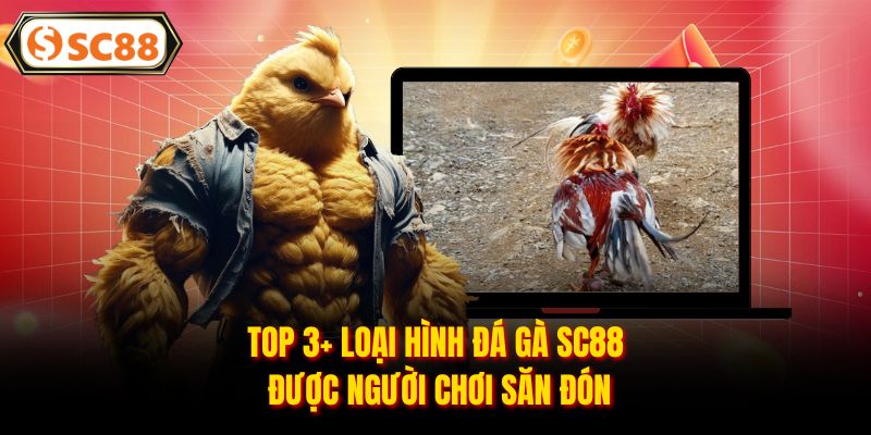 Top 3+ loại hình đá gà SC88 được người chơi săn đón